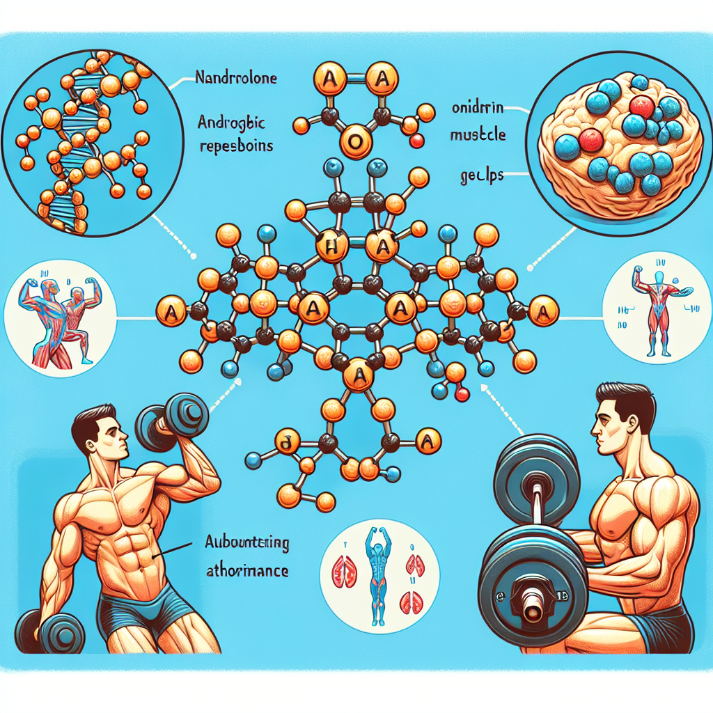Nandrolone: mechanism of action and impact on athletic performance