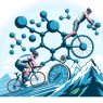 Clenbuterol: a potential performance-enhancing agent in endurance sports