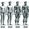 Body composition changes from methyltrenbolone